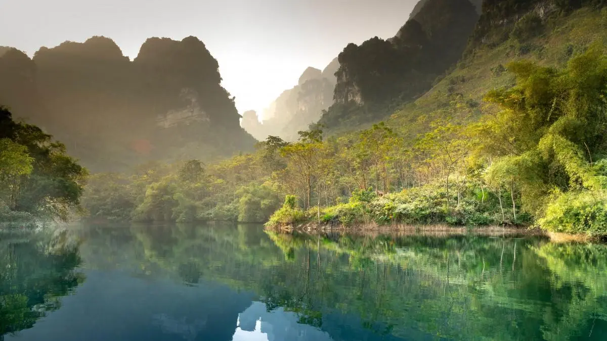 高标准工业